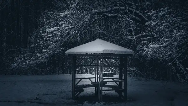 Winter Blues by Arian Shkaki
