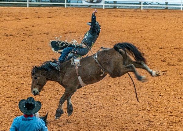 DSC03540 - Horse & Riders / Rodeo Action - Jim Krueger