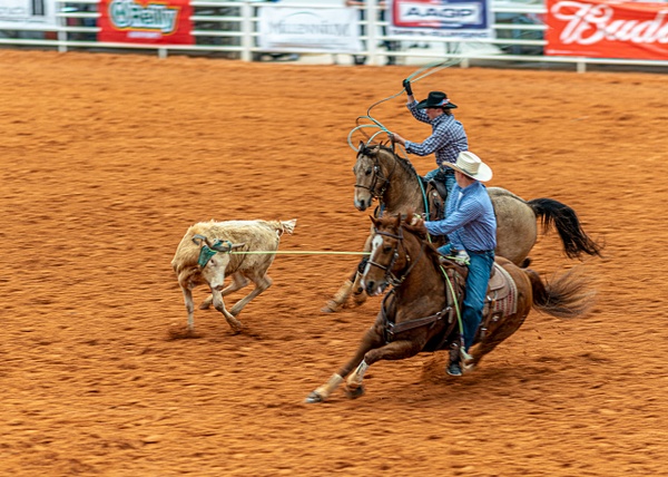 DSC03576 - Horse & Riders / Rodeo Action - Jim Krueger 