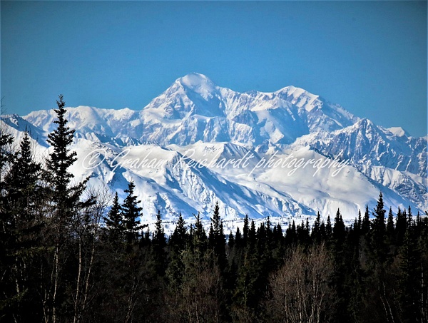 Mt Denali Alaska 2 - Alaskan Scenery - Graham Reichardt 