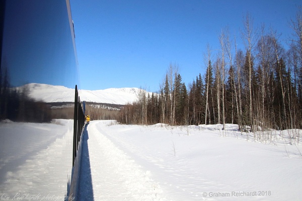 Reflection in the train Alaskan Rail - Alaskan Scenery - Graham Reichardt 