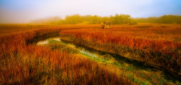 Morning Fog, Mt. Pleasant SC - Low Country - Peter Aragone 