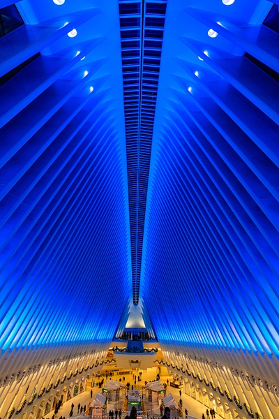The Oculus, World Trade Center, NYC - Cityscape - Peter Aragone 