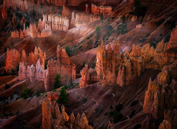 Bryce Canyon Morning, Utah - Landscape - Peter Aragone 