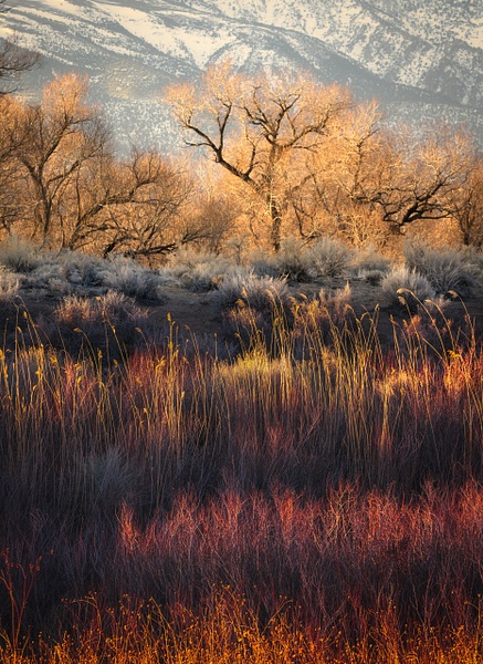 Owens Valley Colors,  Bishop California - Landscape - Peter Aragone