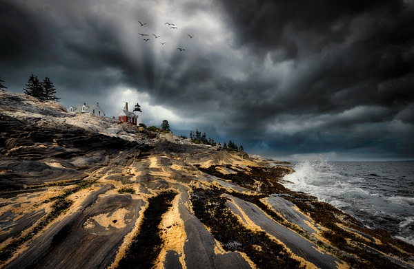 Pemaquid Point Lighthouse, Maine - Landscape - Peter Aragone