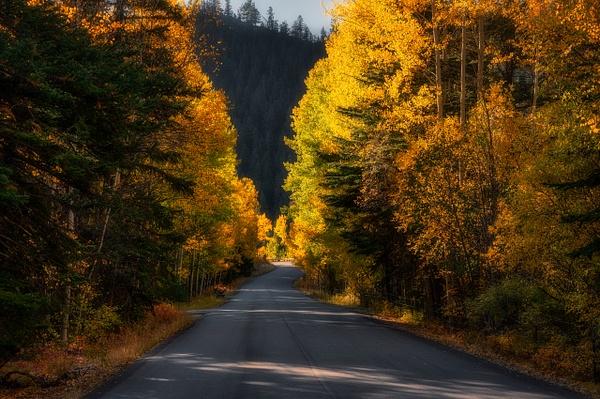 Autumn Road - Utah - Korey Shumway Photography