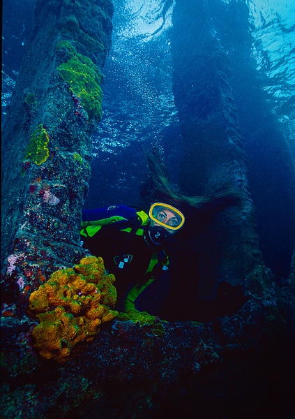Bahamas Barbara under pier - Divers - Keith Ibsen Photography  