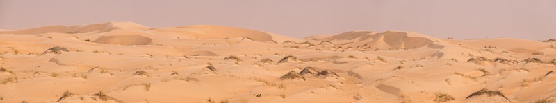 Mauritanie20-169
