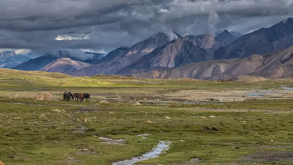 Ladakh - Nimaling by Philippe Guillaumin