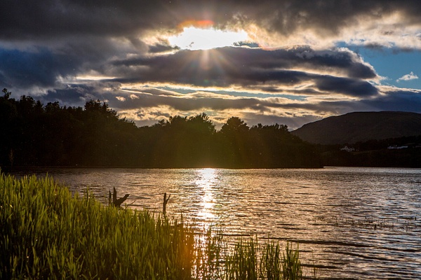 Summer Evenings in Scotland - Heather Morrison Photography