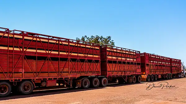 Road Train by DavidParkerPhotography