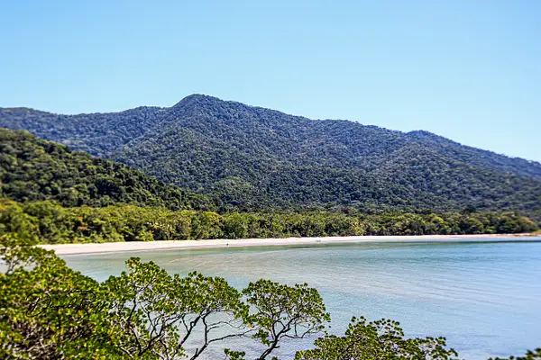 Cape Tribulation and Daintree Rainforest by...