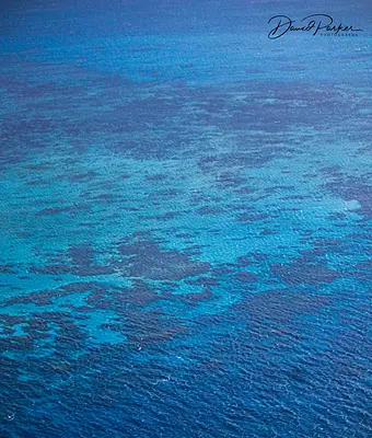 Aerial photosGreat Barrier Reef and Tropical Coast - Cairns, Qld
