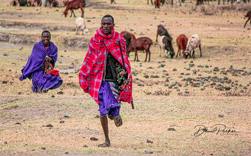 Massai on the Serengeti