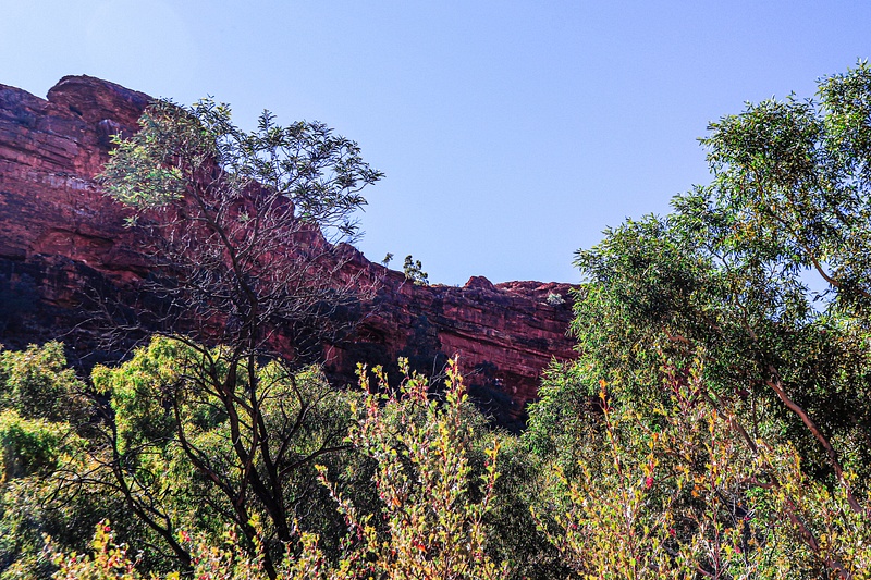 Canyon Wall, taken from Kings Creek Walk
