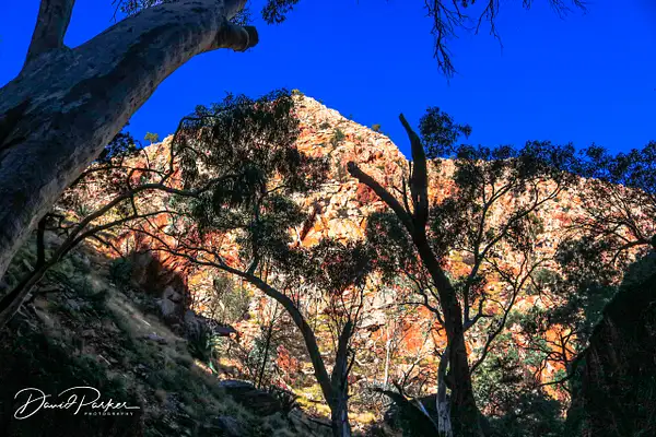 Walk to Stanley Chasm by DavidParkerPhotography