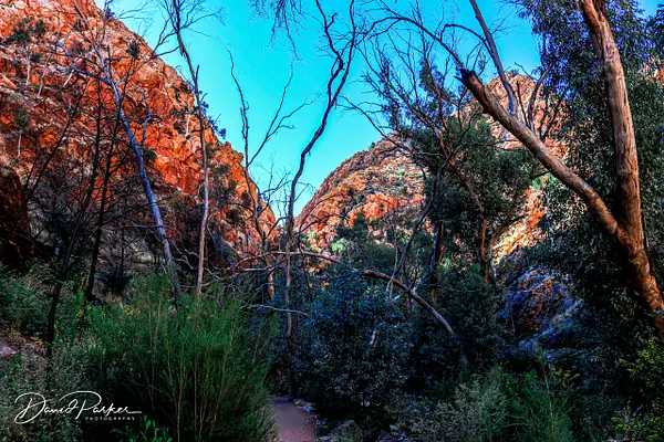 Walk to Stanley Chasm by DavidParkerPhotography