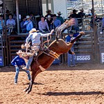 Mt Isa Rodeo