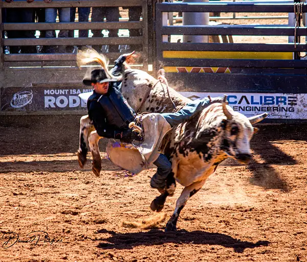 Mt Isa Rodeo by DavidParkerPhotography by...