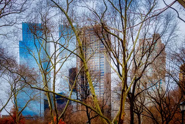 2018_009 - Behind The Trees - NewYork by ALEJANDRO DEMBO