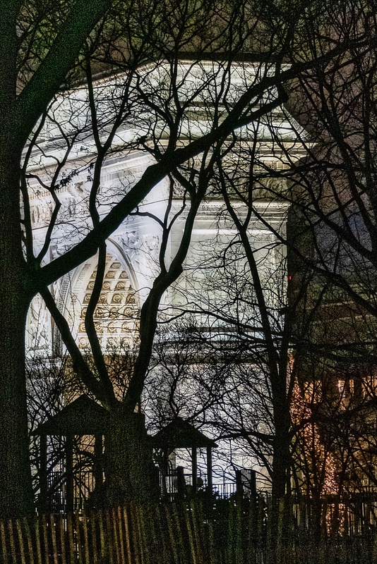 2019_003 - Behind The Trees - NewYork