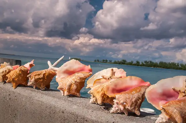 Nassau, Bahamas by AlainGagnon