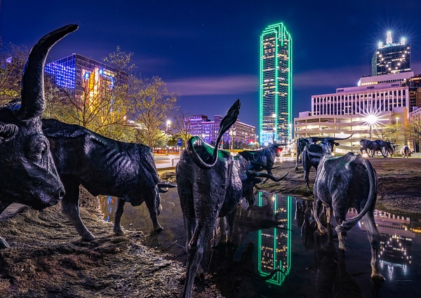 Till the Cows Come Home - Cityscapes - John Roberts - Clicking With Nature® 