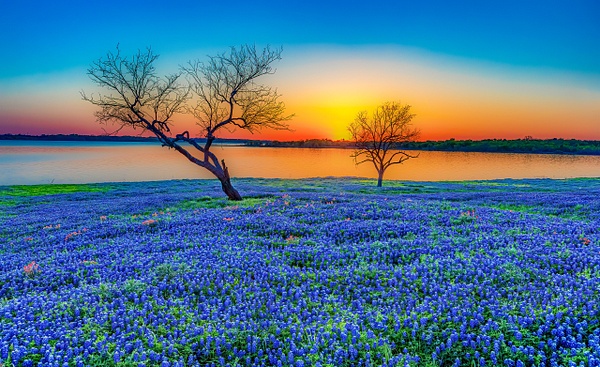 Bluebonnet Lake Sunset - John Roberts - Clicking With Nature®