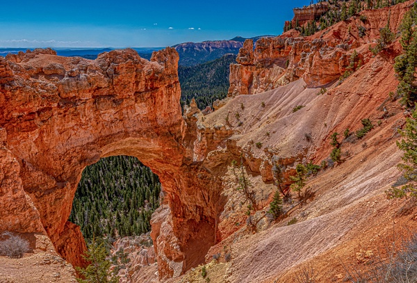 Bryce Canyon Natural Bridge - John Roberts - Clicking With Nature® 