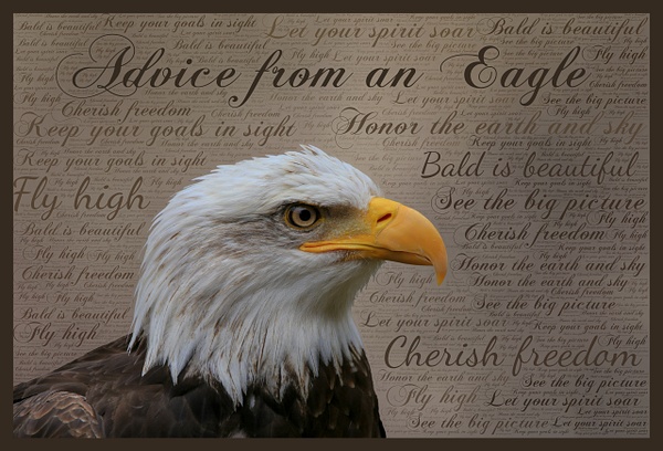 Advice from an Eagle_IMG_2236_final_16x24_with border - John Roberts - Clicking With Nature®