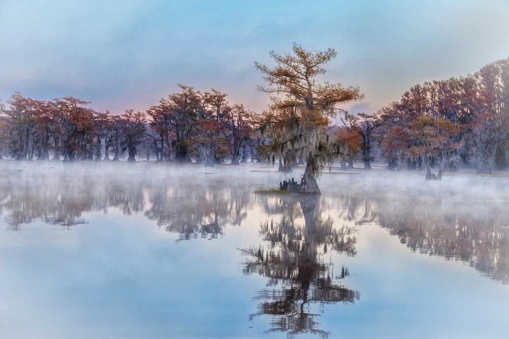 Pastel Morning