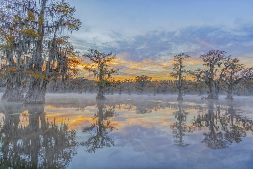 Golden Sunrise