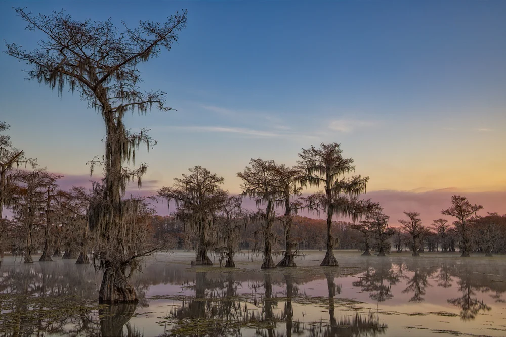 Serene Sunrise