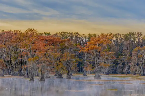 Fall colors and foggy morning by John Roberts