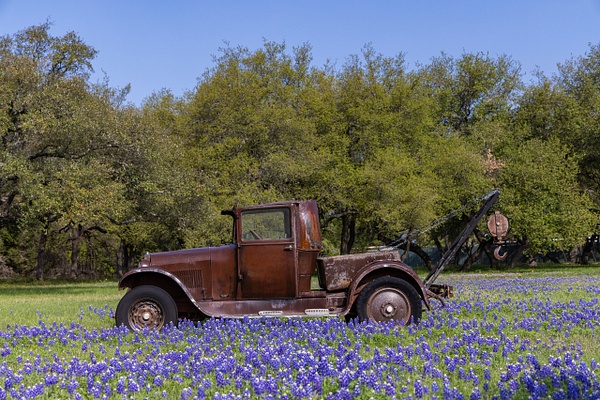 Old Wrecker in Bluebonnets - John Roberts - Clicking With Nature® 