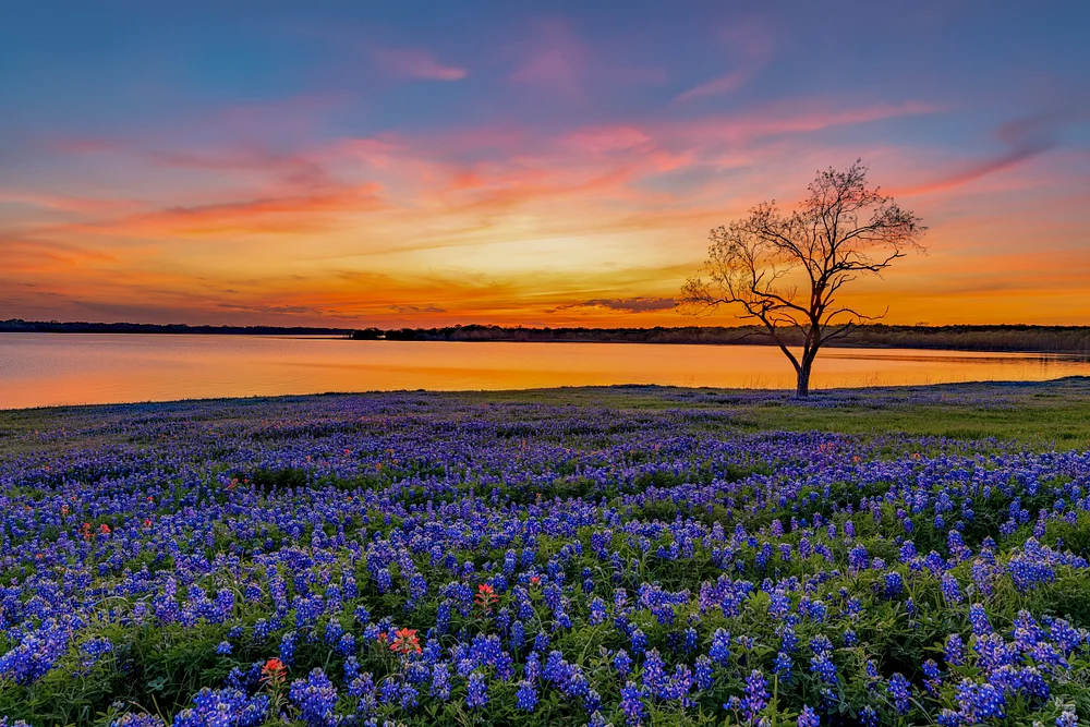 Ennis-Lake Bardwell Sunset 2023