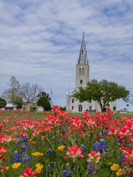 Wildflowers &amp; Church - John Roberts - Clicking With Nature® 