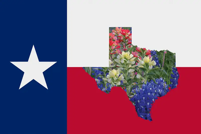 Texas Flag and wildflowers