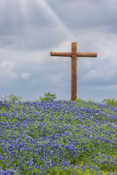 Cross on Bluebonnet Hill_ - John Roberts - Clicking With Nature® 