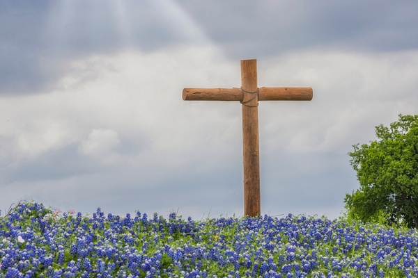 Cross on Bluebonnet Hill 2 - John Roberts - Clicking With Nature® 
