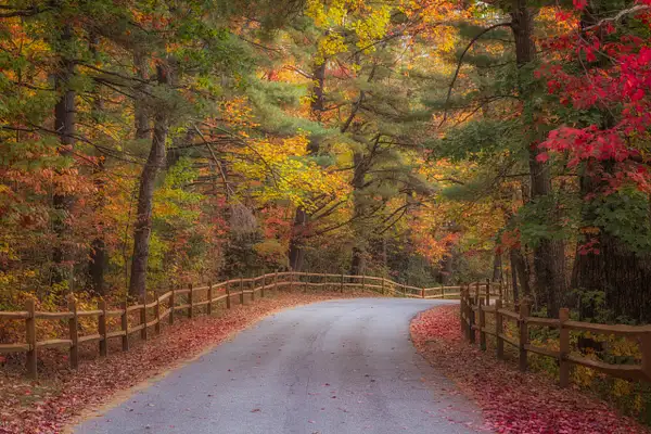 Fall Road by John Roberts