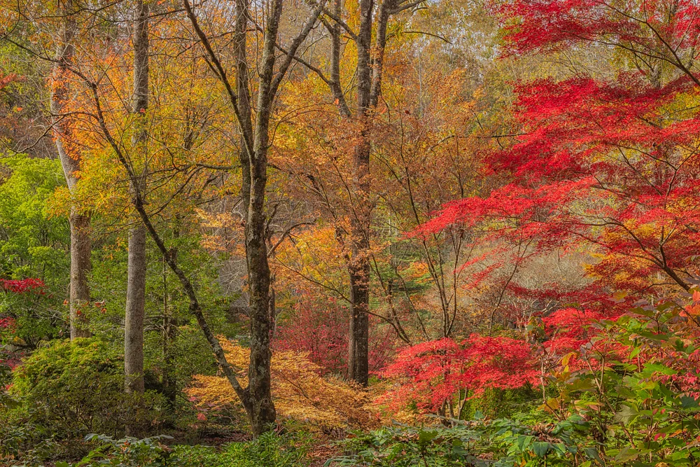 Gibbs Gardens