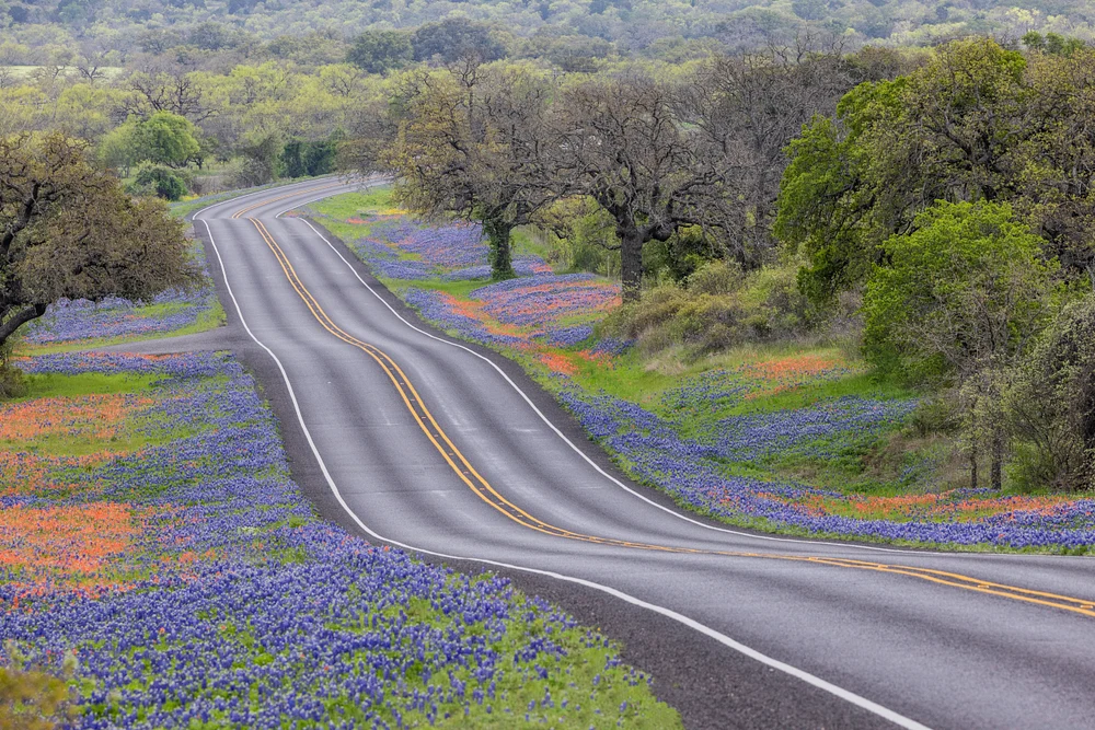 Llano Highway 16