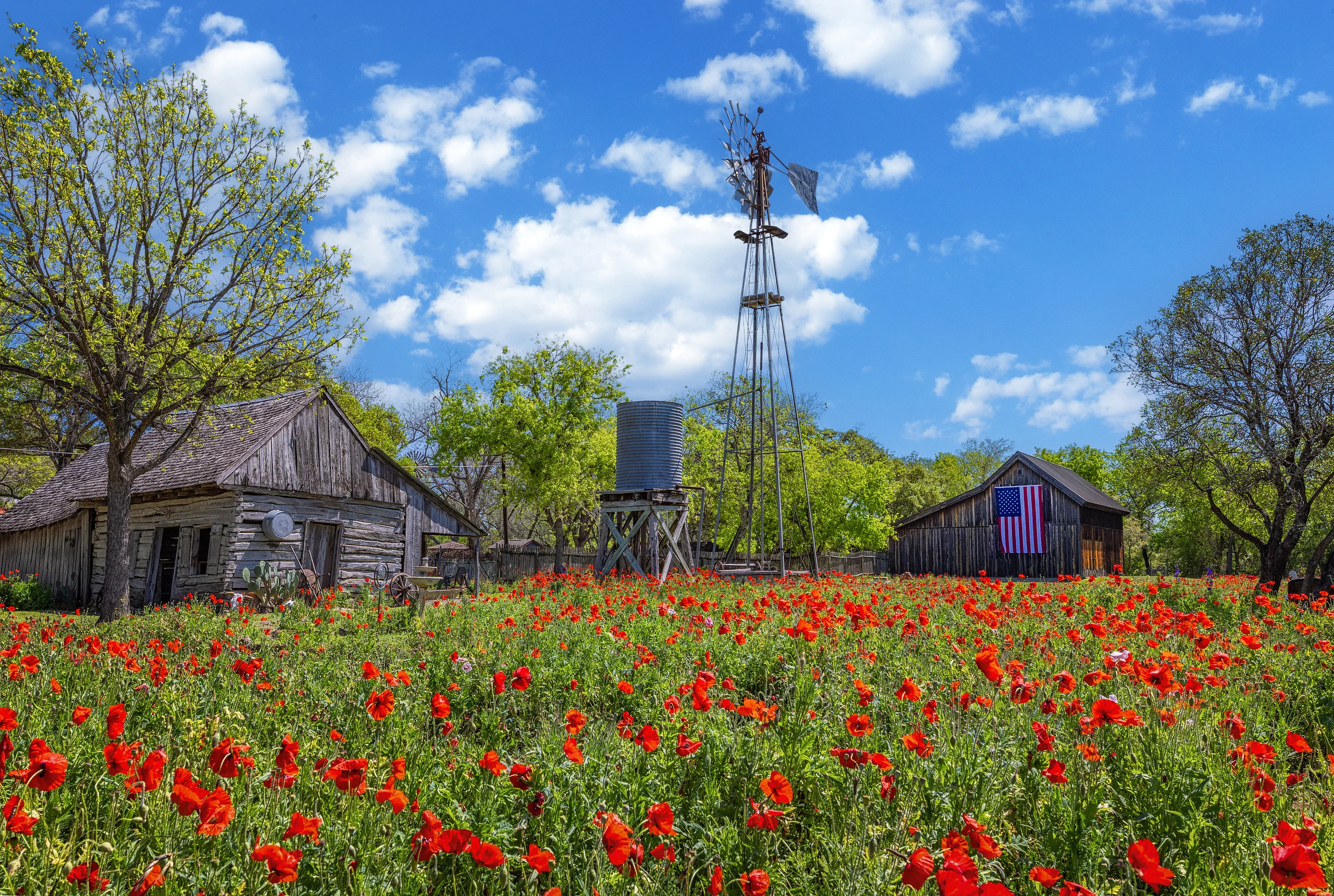 Poppy House_2024_R51_0560_Updated Flag & Clouds