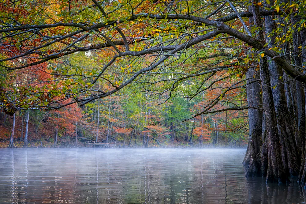 Caddo Kayak Morning_R51_0030