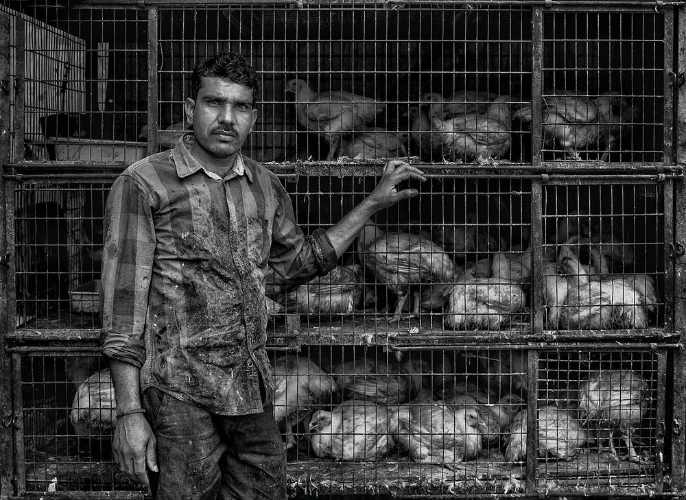 The Chicken Man