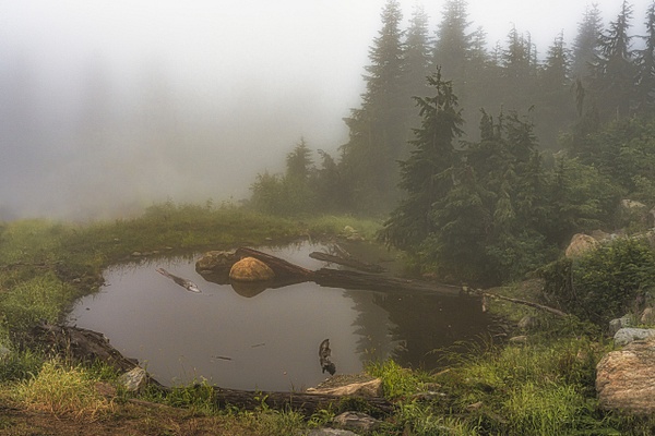 Fog Over the Pond - Landscape - McKinlay Photo