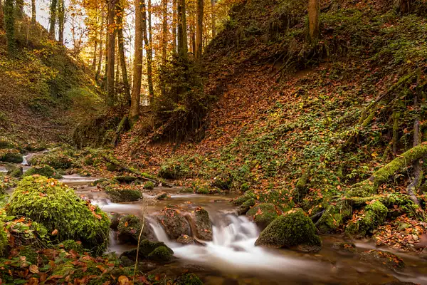 Small river in autumn by photosam