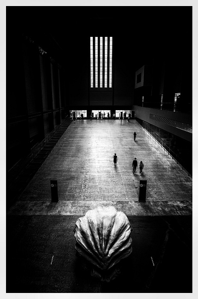 The Tate - Andrew Newman Photography 